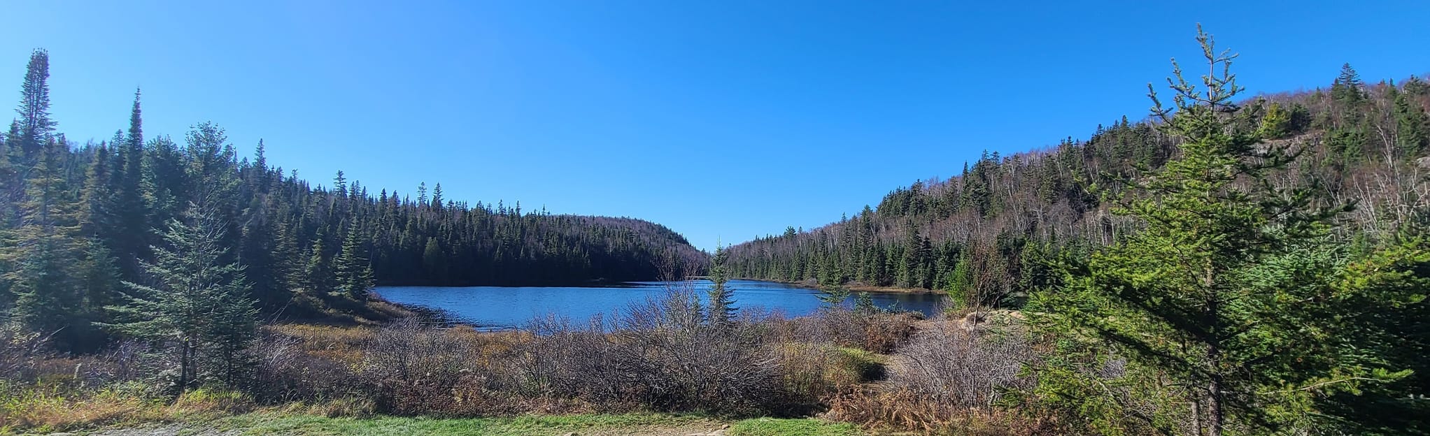 Lake Desperiers Loop 9 Reviews, Map Quebec, Canada AllTrails