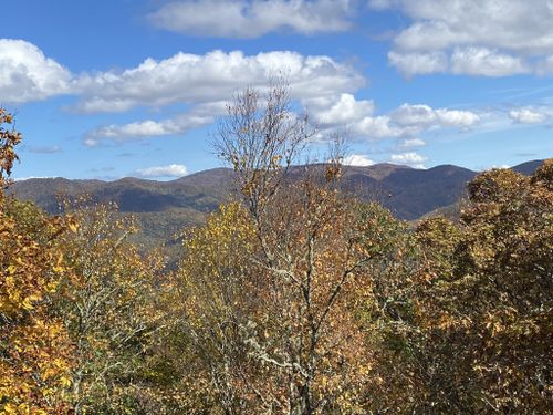 are dogs allowed on blue ridge parkway trails