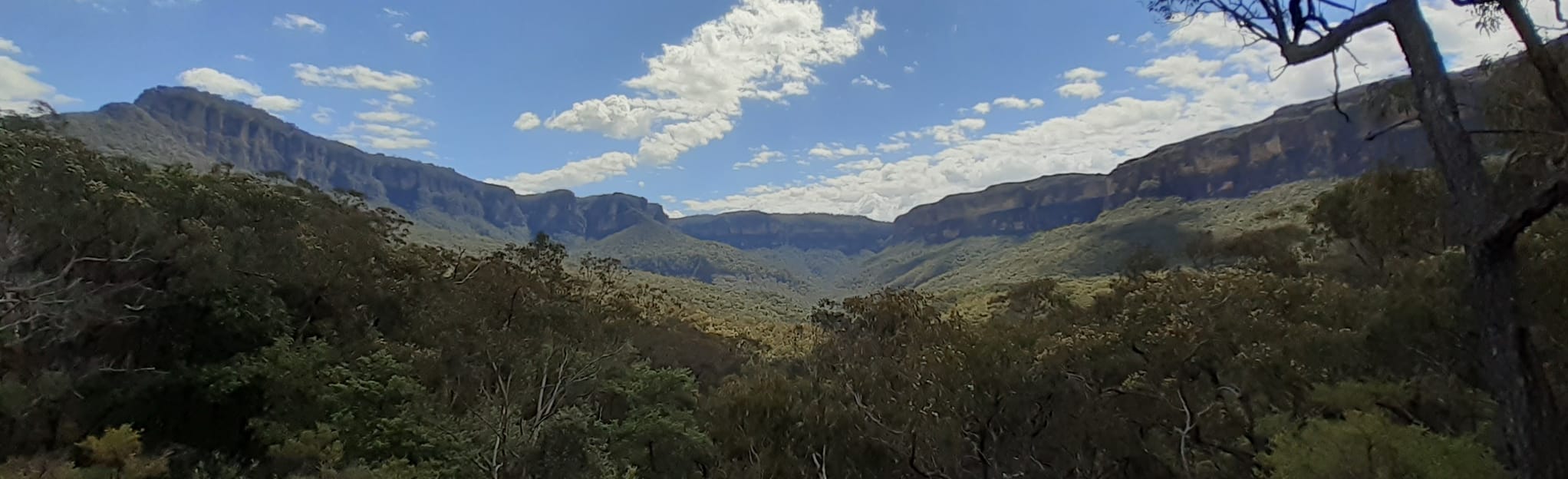 Mount Solitary Walking Track 1.461 Fotos New South Wales, Australien AllTrails