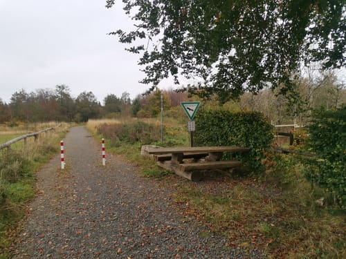 Vom Mützenicher Venn ins Brackvenn [CLOSED]