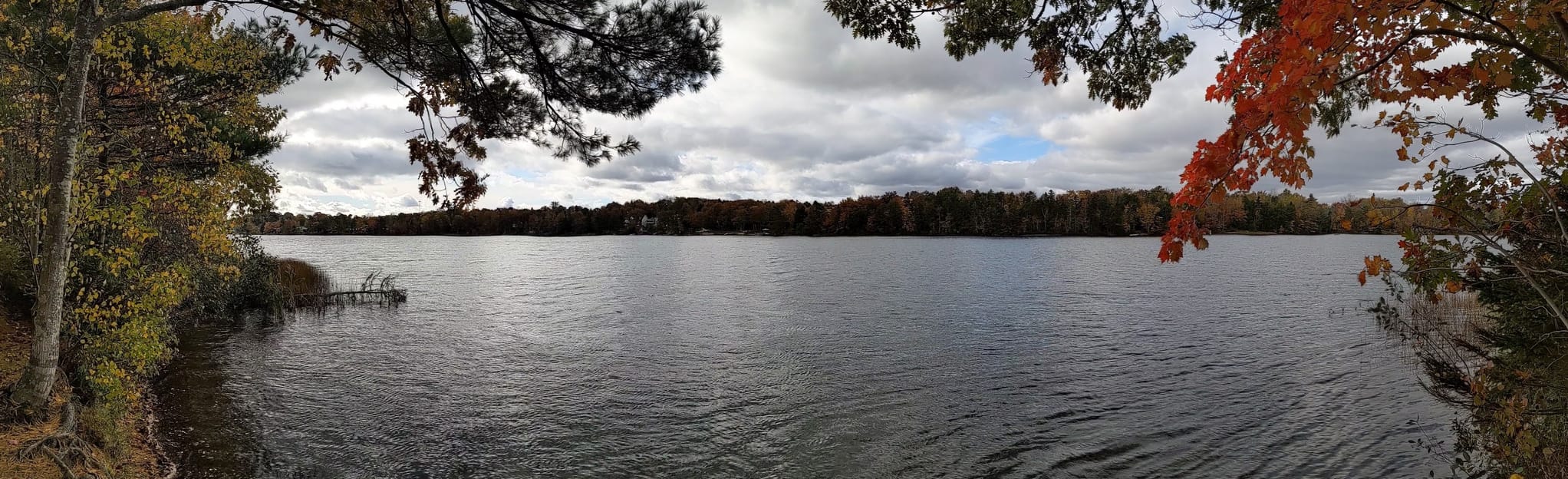 First Lake Glen Slauenwhite Trail, Nova Scotia, Canada 277 Reviews, Map AllTrails