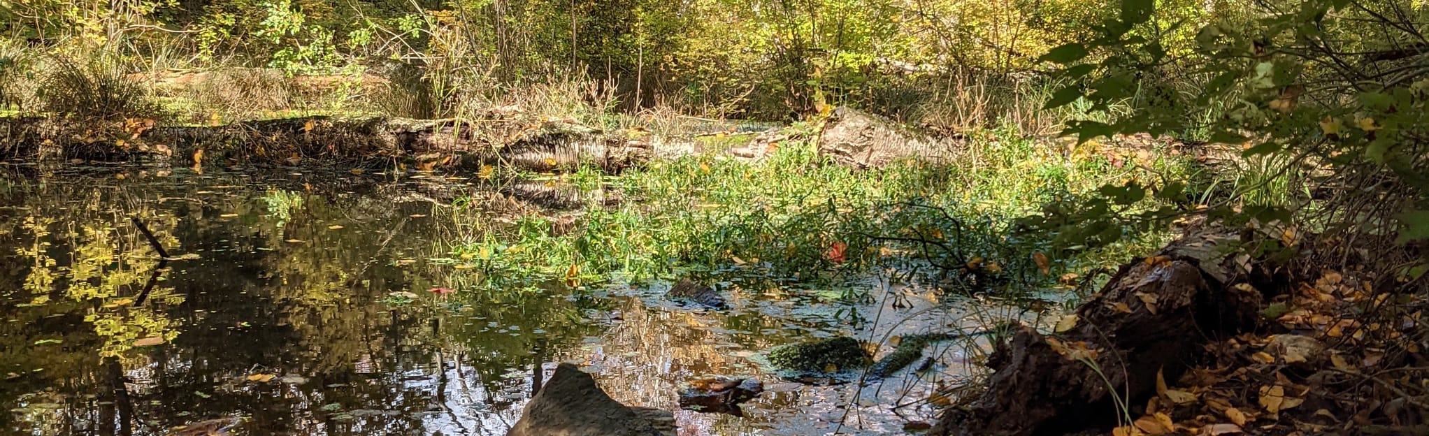 Byram Lake Blue Trail to Red and Yellow Marsh Loop 22 Reviews, Map