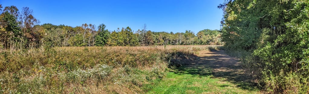 Tranquil Trails: Beginner-Friendly Hikes for Exploring New Jersey