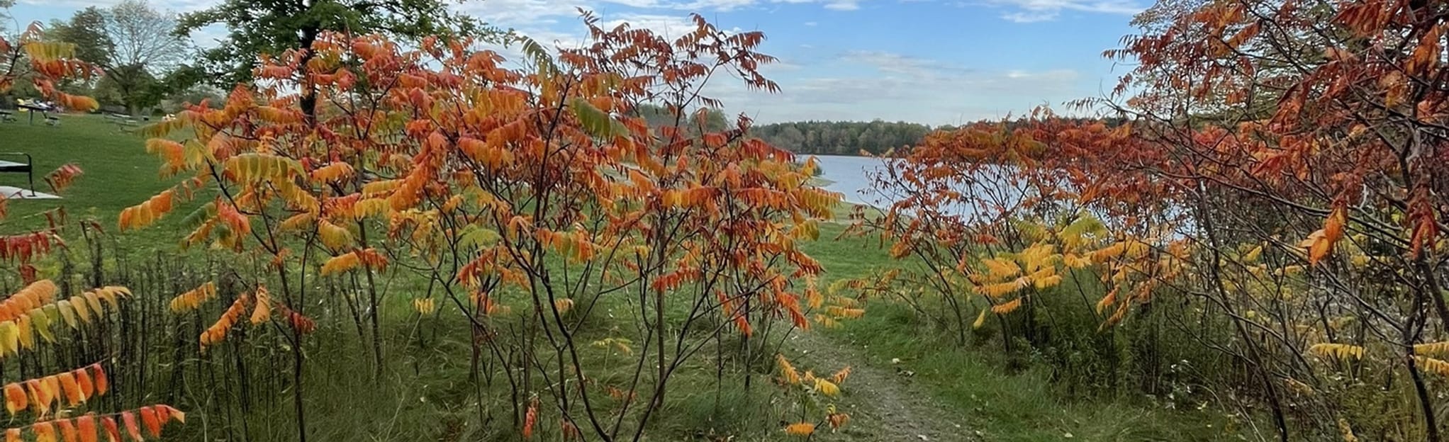 Milne Dam Trail: 430 Reviews, Map - Ontario, Canada | AllTrails