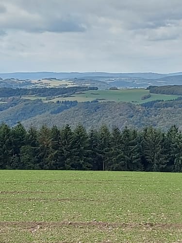 Bärenroute (Vitaltour)