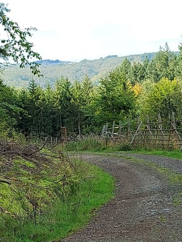 Bärenroute (Vitaltour)