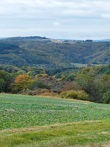 Bärenroute (Vitaltour)