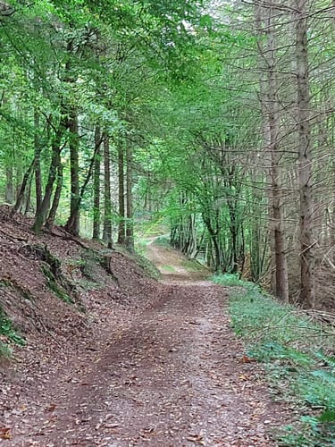 Bärenroute (Vitaltour)