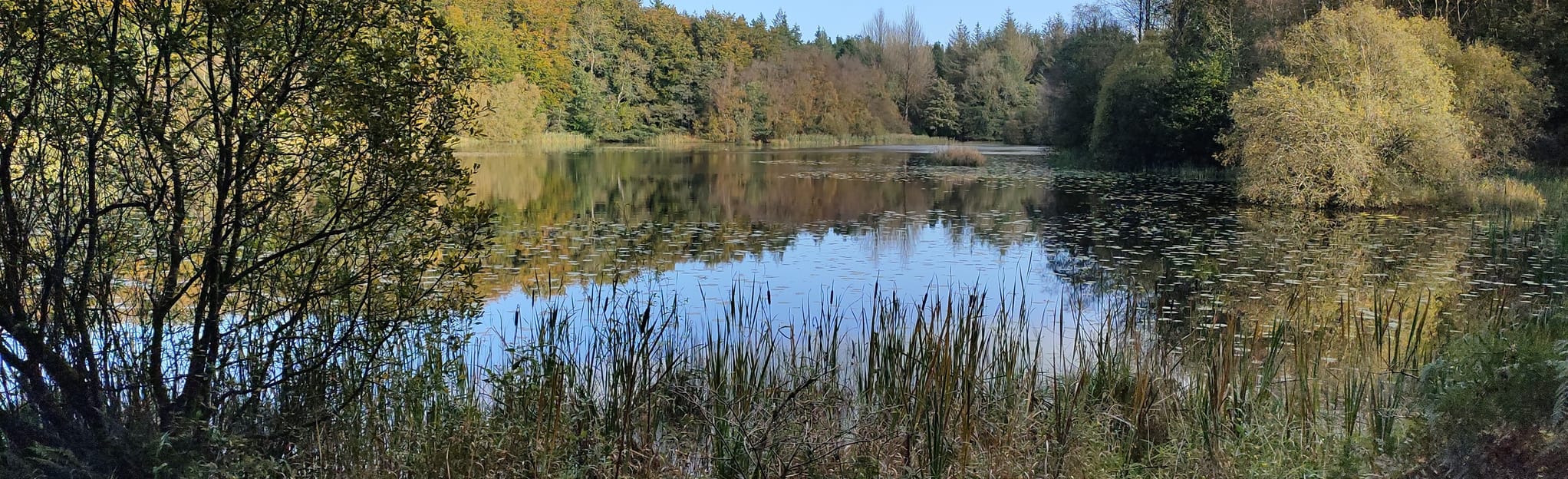 Rossmore Forest Park Loop, County Monaghan, Ireland - 70 Reviews, Map ...