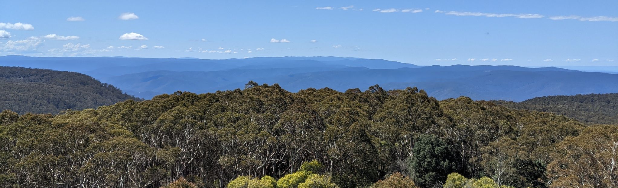 Mount Juliet, Victoria, Australia 3 Reviews, Map AllTrails