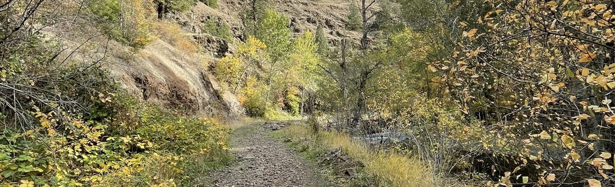 Harris Park Trail, Oregon 74 Reviews, Map AllTrails