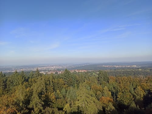 Zur Büchenbronner Höhe