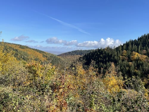Tabarz: Rundwanderweg 2