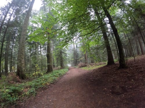 Langenbrand - Schwarzenberg - Bieselsberg - Schömberg