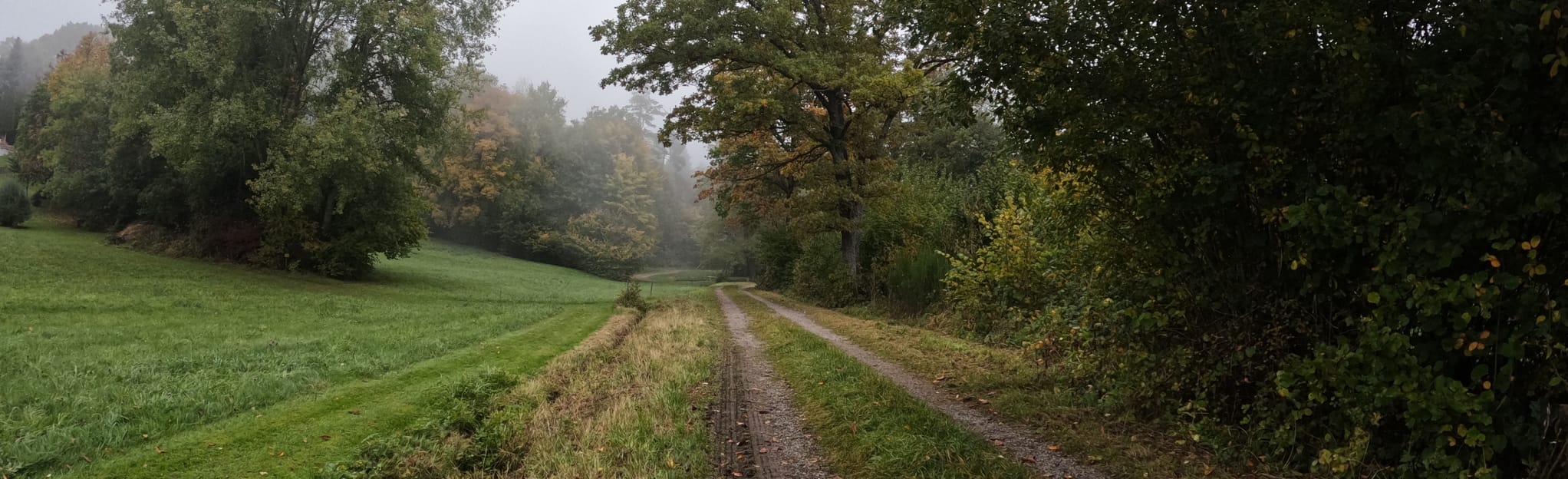 Langenbrand Schwarzenberg Bieselsberg Schoemberg, Baden