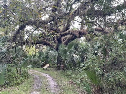 Best hikes and trails in Caloosahatchee Regional Park AllTrails