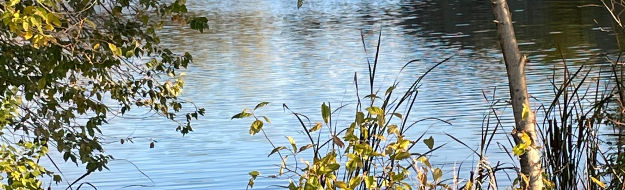 Casselton Reservoir Loop, North Dakota 6 Reviews, Map AllTrails