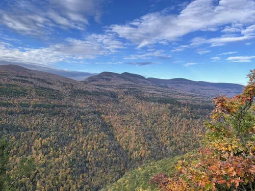 10 Best Hikes and Trails in Kaaterskill Wild Forest | AllTrails