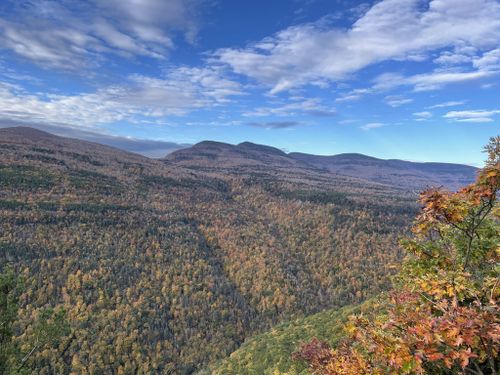 Best 10 Hikes and Trails in Kaaterskill Wild Forest | AllTrails