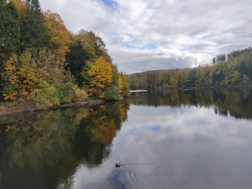 Eschbachtalsperre - Große Runde