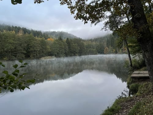 Auf den Burgberg im Meulenwald