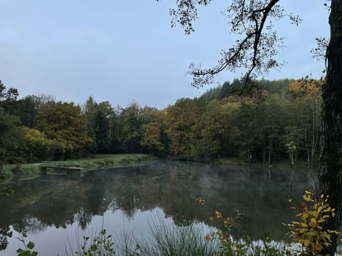 Auf den Burgberg im Meulenwald