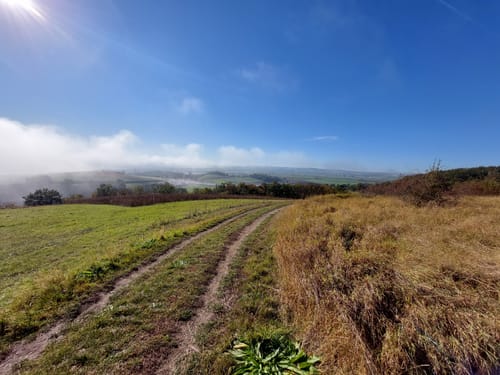 Paradiesweg Polch (Premiumspazierwanderweg)