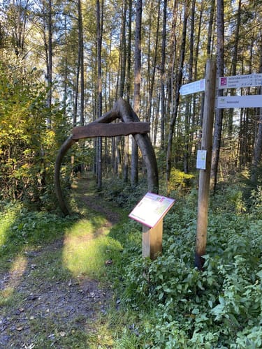 Römer-Keltenpfad (Traumschleife)