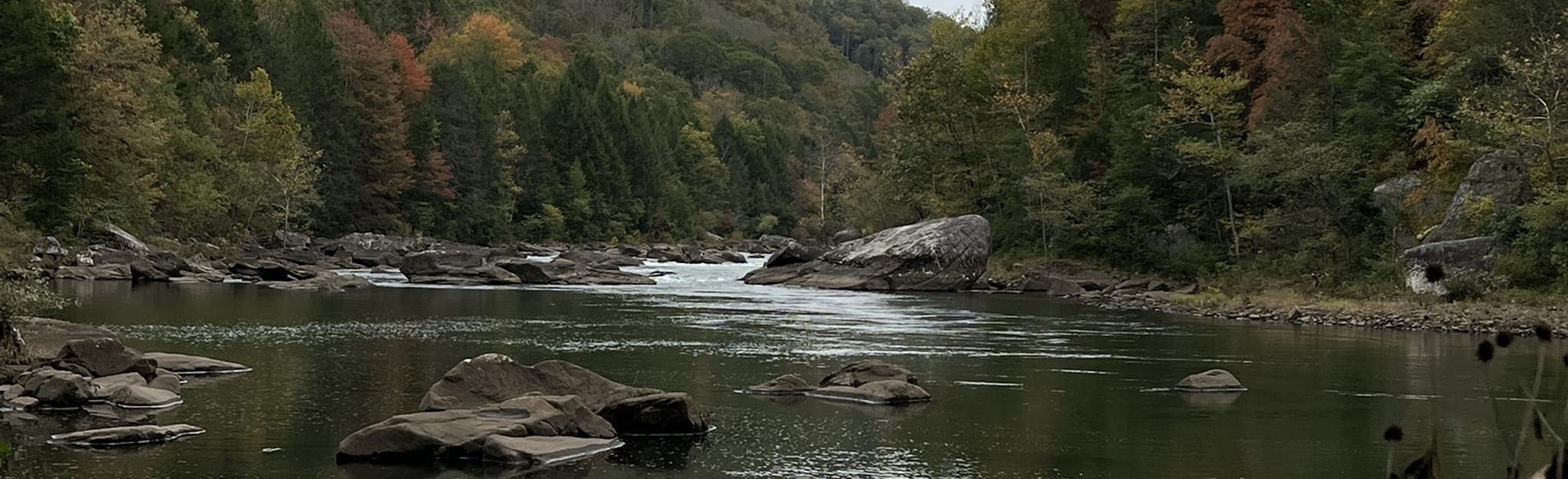 Path to Pillow Rock [CLOSED], West Virginia 50 Reviews, Map AllTrails