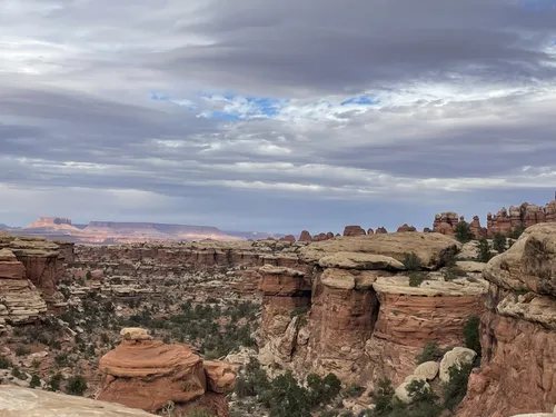 Alltrails canyonlands 2024