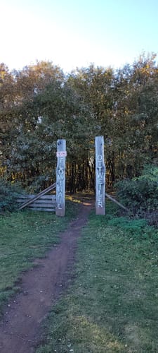 Schauinslandweg (Premiumwanderweg)