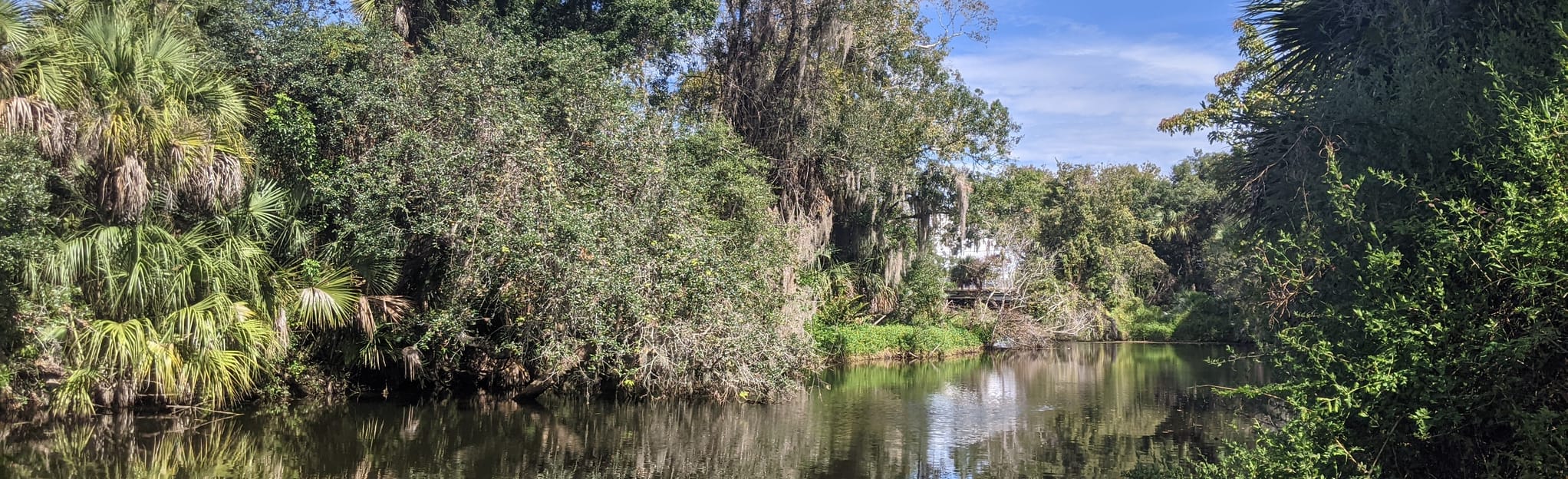 Turkey Creek Red Trail Loop 241 Reviews, Map Florida AllTrails