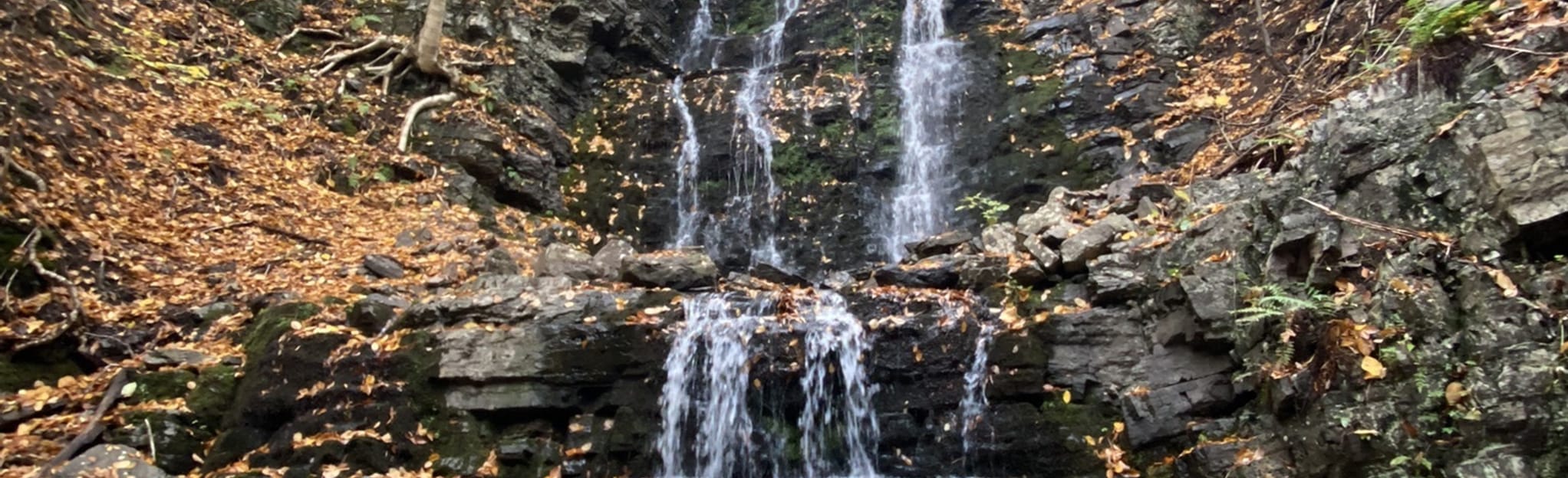 McAdam Brook Falls Nova Scotia, Canada AllTrails