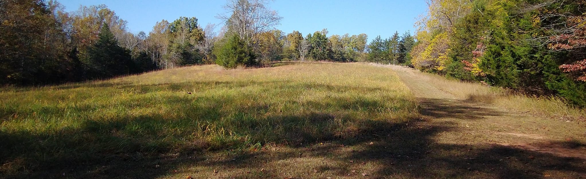 Lee's Headquarters and Tobacco Prizery Nature Trail Loop 39 Reviews