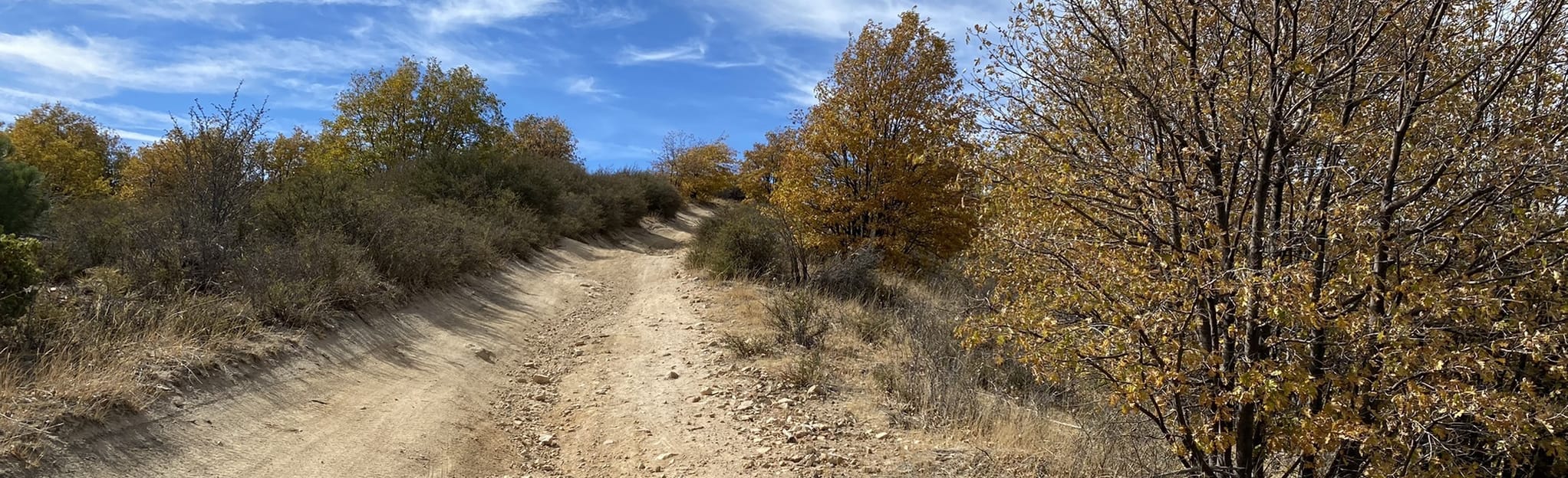 Sawmill Road Loop Trail California AllTrails