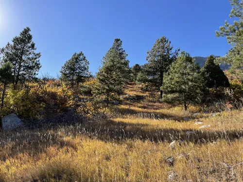 10 Best Hikes and Trails in Cheyenne Mountain State Park | AllTrails