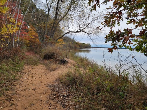 Buckhorn State Park Map Best 10 Trails In Buckhorn State Park | Alltrails