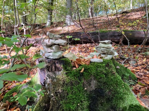 Paderborner Höhenweg: Panoramatour um Neuenbeken
