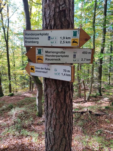 Von Bamberg zur Ruine Raueneck