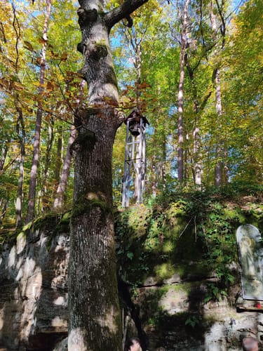 Von Bamberg zur Ruine Raueneck