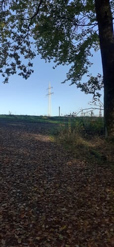 Rund um Bergweiler - Schellenbach - Dirmingen