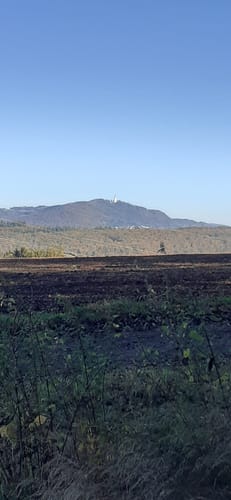 Rund um Bergweiler - Schellenbach - Dirmingen