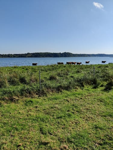 Wikingerland Wanderung (7km)