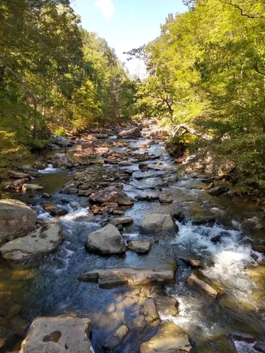 10 Best Hikes and Trails in Cumberland Trail State Park | AllTrails