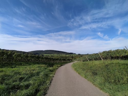Müllheim - Eichwald - Vögisheim