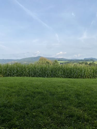 Rundwanderweg Rimbach 5: Wechnitztaler Berg-Tour