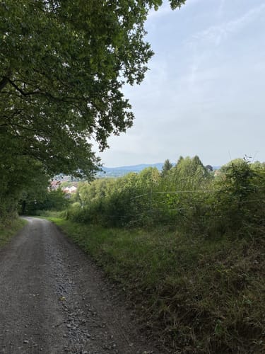 Rundwanderweg Rimbach 5: Wechnitztaler Berg-Tour