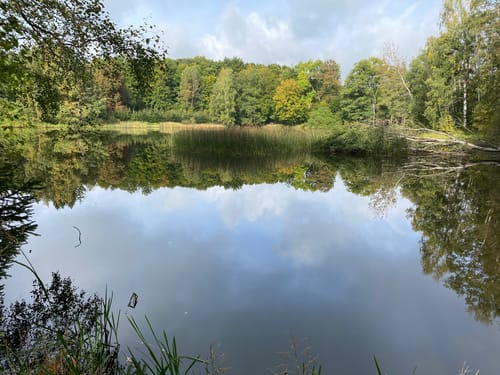 HeinzemannTour (Premiumwanderweg)