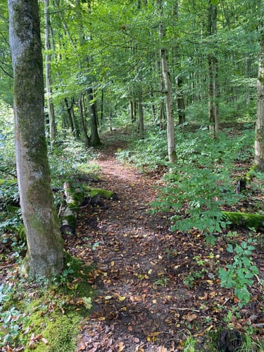 HeinzemannTour (Premiumwanderweg)