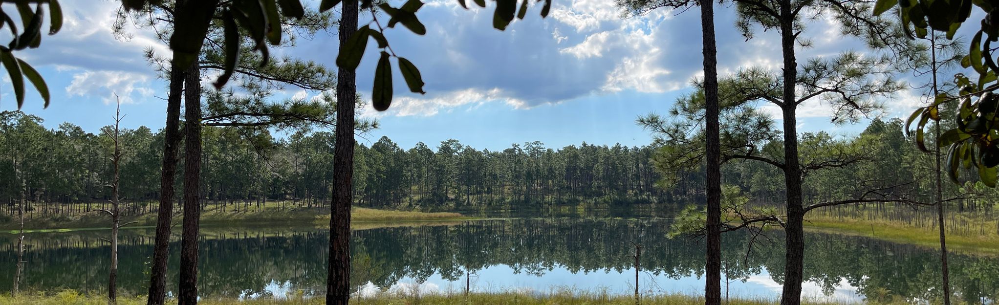 Florida Trail: Rice Creek/Etoniah/Gold Head to Camp Blanding, Florida ...